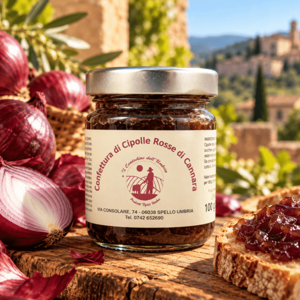 Crema di Cipolle Rosse