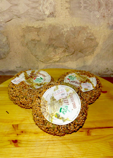 Il Contadino dell'Umbria