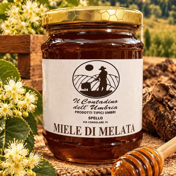 Miele di Melata